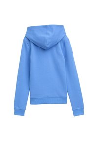 Felpa blu con cappuccio, tessuto morbido, polsini e orlo ribattuti. Presenta un design semplice senza dettagli frontali. Solo vista posteriore.