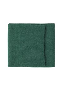 Grüne Wolldecke, weiche Textur, rechteckige Form, in einfarbig mit subtilen Variationen im Webmuster. Saubere Kanten ohne Akzente.