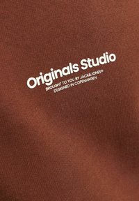 Jack & Jones Junior JORVESTERBRO - Felpa con cappuccio - brown