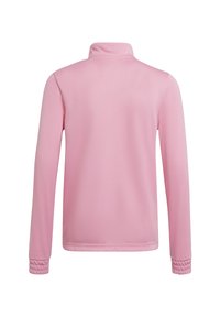 Roze lange mouw top met een hoge kraag, met een gladde textuur en geribbelde accenten bij de manchetten. Achteraanzicht zonder zichtbare sluitingen.