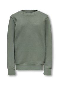 Sudadera de algodón verde con un clásico cuello redondo, puños y dobladillo acanalados. Textura suave y diseño simple, sin adornos.