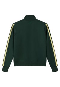 Chaqueta verde oscuro con cremallera y rayas beige a lo largo de las mangas, con puños y cuello acanalados, vista desde atrás.