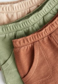 Next TEXTURED 3 PACK  - REGULAR FIT - Shorts - rust brown  khaki green