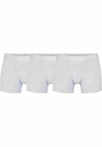 JBS OF DENMARK Trusser - lightgrey