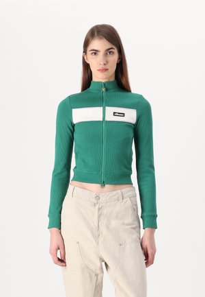 SNOWMASS - Sweatjakke - green