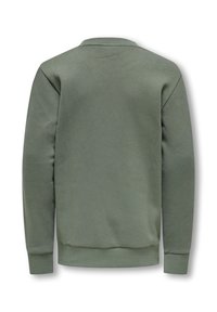Sudadera verde oliva, hecha de tejido texturizado, con cuello redondo, mangas largas y puños y dobladillo acanalados. Vista trasera lisa, sin patrones.