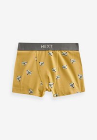 Next 10 PACK STANDARD - Panties - neutral transport print