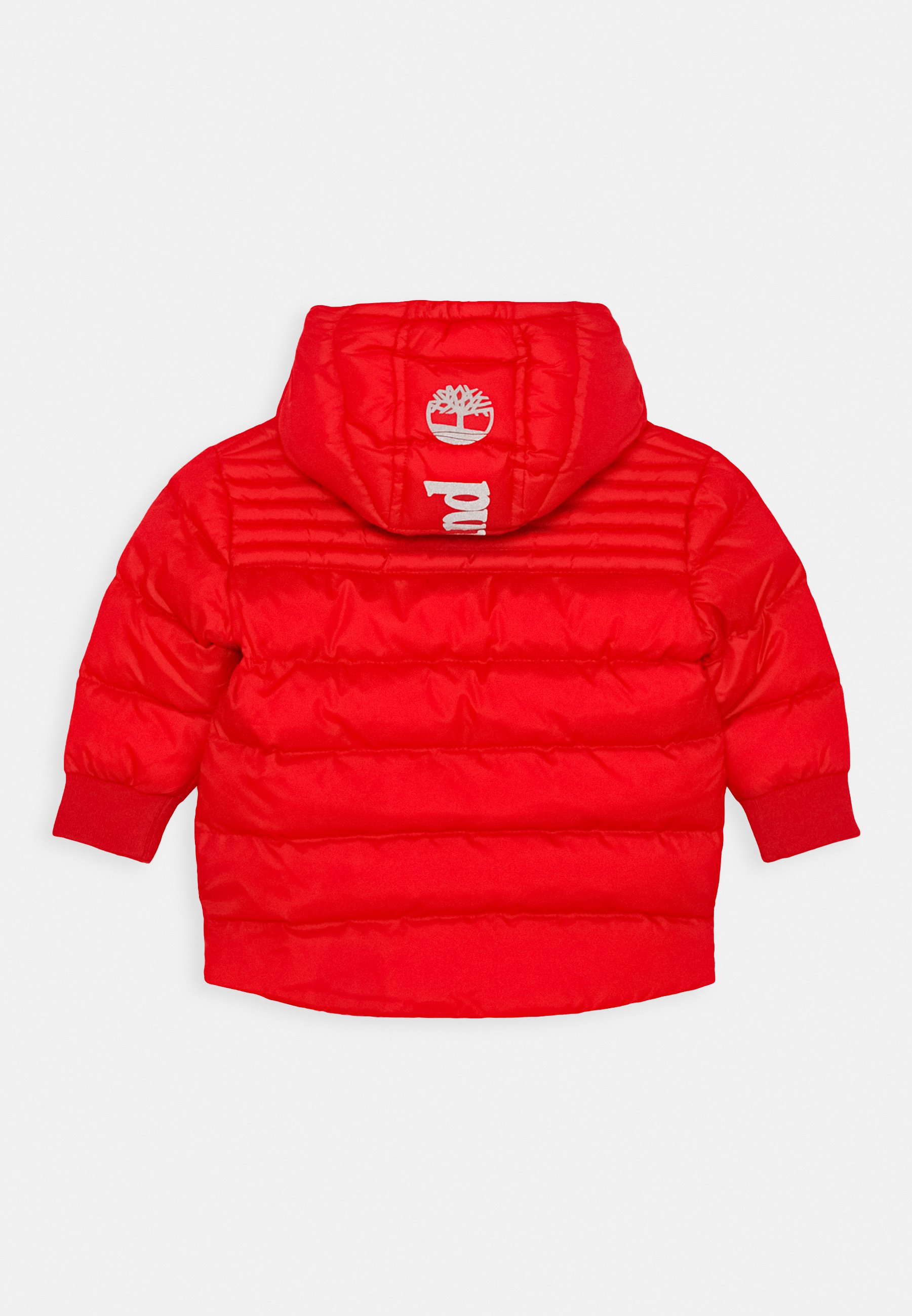 baby timberland jacket