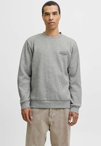 Grå sweatshirt lavet af blødt stof, med rund hals, lange ærmer og et lille trykt logo på brystet.