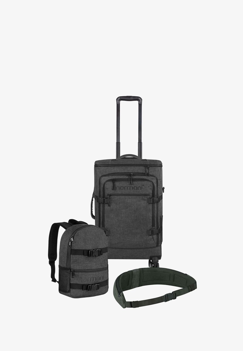 Drei Reisetaschen: ein grauer Rollkoffer mit ausziehbarem Griff, ein kleiner Rucksack mit zwei Schnallen und ein grüner verstellbarer Hüftgurt.