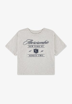 Abercrombie & Fitch CREST BOXY TEE - Print T-shirt - oatmeal heather