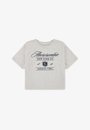 Abercrombie & Fitch CREST BOXY TEE - Print T-shirt - oatmeal heather