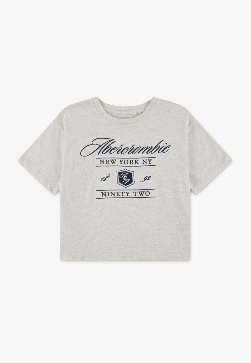 Abercrombie & Fitch CREST BOXY TEE - Print T-shirt - oatmeal heather