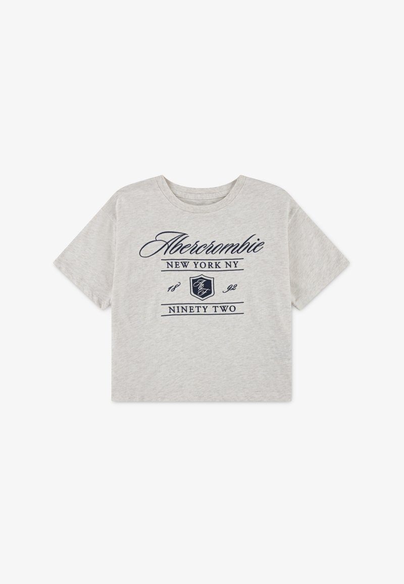 Abercrombie & Fitch CREST BOXY TEE - T-Shirt print - oatmeal heather