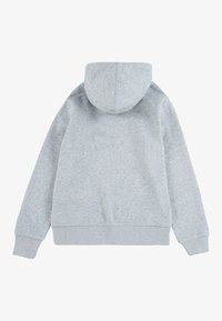 Felpa grigia con una texture morbida, con cappuccio, maniche lunghe e orlo e polsini a coste. Design semplice senza loghi o motivi visibili.