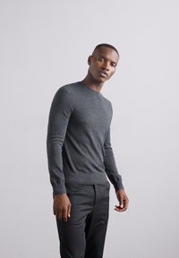 Tiger of Sweden CONNOR - Trui - grey street