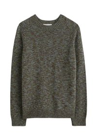 Seasalt Cornwall NEOT  - Strickpullover - green bridging hosta