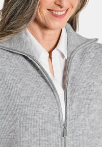 Veste polaire zippée grise avec un motif texturé, col haut et fermeture éclair argentée. Portée par-dessus une chemise blanche à col.