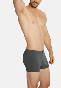Gray boxer shorts made of soft fabric, featuring a snug fit and a horizontal fly. The waistband includes a small logo tag.