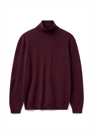 TURTLENECK - Strickpullover - red