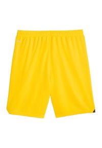 Puma REPLICAS NATIONAL BVB DORTMUND 2023/2024 - Nationalmannschaft - gelb
