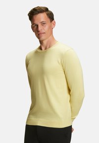 Maglione giallo a maniche lunghe con scollatura rotonda, realizzato in un tessuto liscio. Presenta polsini e orlo a coste, con un taglio slim.