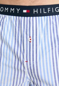 Siniset ja valkoiset raidalliset bokserit, joissa on tumma vyötärö, johon on painettu "TOMMY HILFIGER" -logo. Huomiota herättäviä yksityiskohtia ovat valkoinen nappi ja punaiset ompeleet.