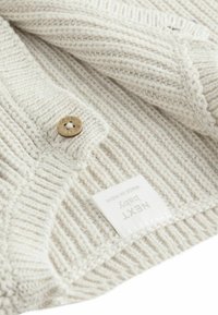 Gaiši pelēkā adītā džemperis ar ribotu tekstūru, kam ir koka pogas un kopšanas uzlīme ar atzīmi "NEXT baby", norādot izcelsmi no Indijas.