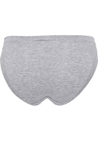 JBS OF DENMARK TAI - Briefs - grey