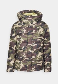 Blauer HOODIE JACKET - Giacca invernale - dark olive