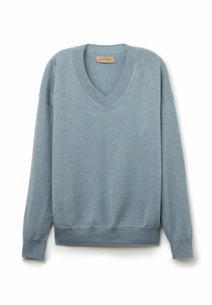 Maglione azzurro chiaro a scollo a V realizzato in morbido tessuto a maglia. Presenta maniche lunghe e orlo a coste, con una sottile texture in tutta la superficie.