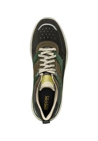 Sneaker verde scuro e nero con suede testurizzato, punta perforata, lacci beige, soletta imbottita e marchio Geox all'interno.