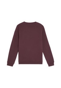 Pullover in un bordeaux scuro. Presenta un collo a giro, maniche lunghe e polsini e orlo a coste. Texture liscia, senza motivi o logo.