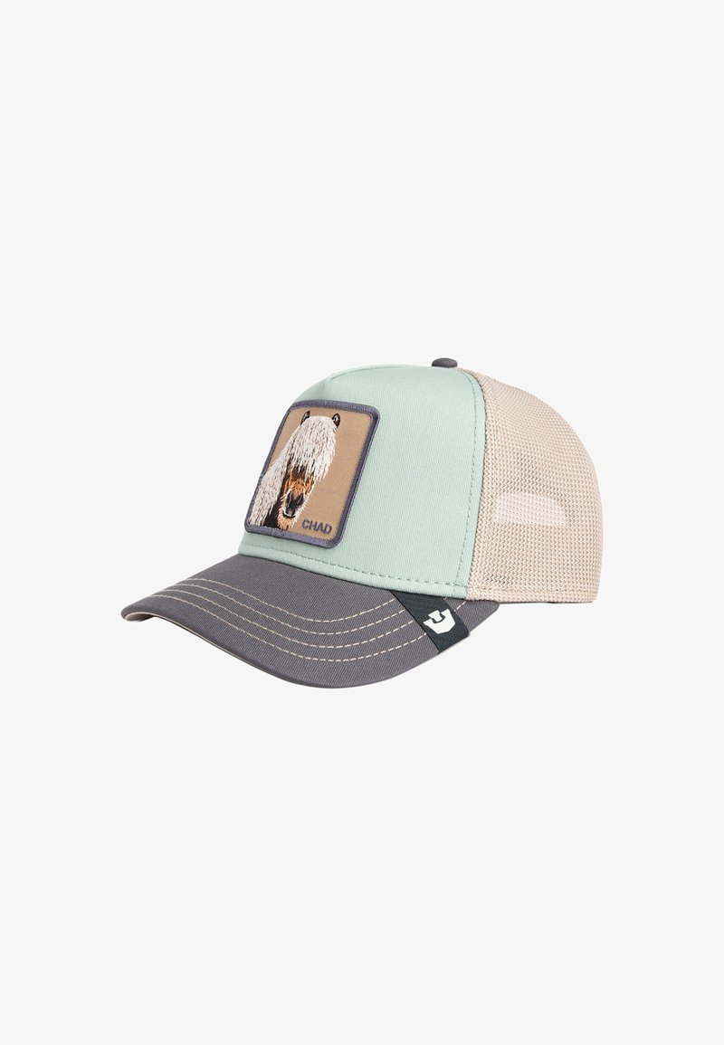 Baseball cap with a mint green front, gray brim, and beige mesh back; features an illustration of a dog on the front patch.