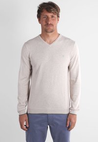 Pull beige à manches longues avec un col en V, fabriqué en tissu doux. Accents verts aux poignets et à l'ourlet. Logo subtil sur la poitrine.