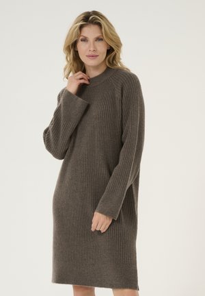 Ribbed knit dress in dark brown, featuring long sleeves and a high neckline. Soft texture with a relaxed fit and knee-length design.