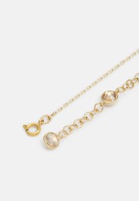 Gouden kettingarmband met twee ronde, gefacetteerde stenen, voorzien van een veilige kreeftsluiting. Glide textuur met geëloogde schakels.