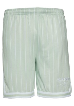 Karl Kani Šortai - light mint white