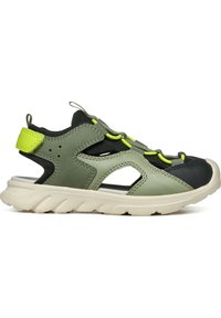 No seleccionado, military lime