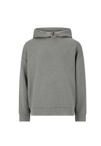Grå hætte sweatshirt med lange ærmer, lavet af glat stof, med et enkelt design og ribbede manchetter og kant. Ingen mønstre eller accenter.
