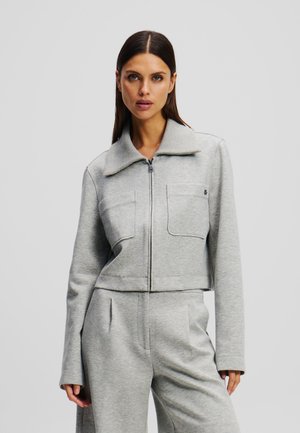 Geknipt grijze zip-up jas van zacht materiaal, met een brede kraag, twee voorzakken en ribgebreide details langs de mouwen en de zoom.