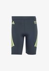 BER26 TIGHT - Short running tights - night grey