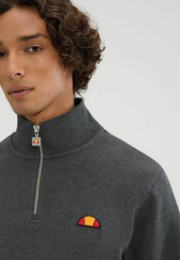 Grijze hoodie met ritssluiting en hoge kraag, met een geborduurd logo in rood, geel en oranje. Zachte stof en casual pasvorm.