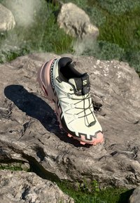 Salomon - SPEEDCROSS 6 GTX - Pantofi alergare trail - lime cream/mahogany rose/black Imagine miniatură 1