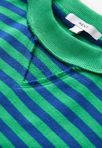 Next STRIPED RAW EDGE SEAM DETAILING CREW NECK - Mikina - blue green