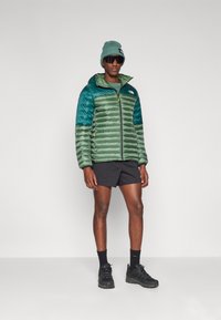 The North Face TERRA PEAK HOODIE - Vinterjakker - duck green/deep nori