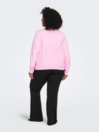 Light pink, knitted sweater with a round neckline and ribbed cuffs, paired with black flared pants, viewed from the back.