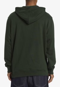 DC Shoes STAR PH - Jersey con capucha - gzh0 mountain view
