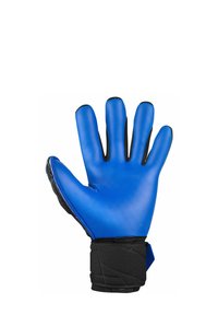 Reusch ATTRAKT DUO - Torwarthandschuh - blck whit deep blue