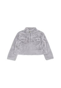 Non selezionato, grigio